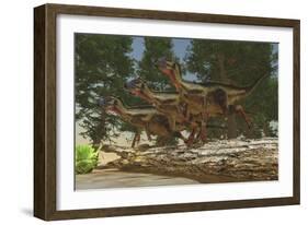 A Group of Herbivorous Hypsilophodon Dinosaurs-null-Framed Art Print