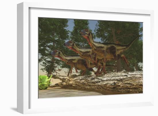 A Group of Herbivorous Hypsilophodon Dinosaurs-null-Framed Art Print