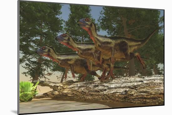 A Group of Herbivorous Hypsilophodon Dinosaurs-null-Mounted Art Print