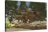 A Group of Herbivorous Hypsilophodon Dinosaurs-null-Stretched Canvas