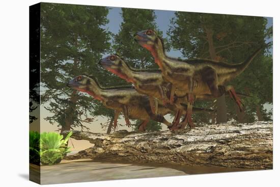 A Group of Herbivorous Hypsilophodon Dinosaurs-null-Stretched Canvas