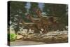 A Group of Herbivorous Hypsilophodon Dinosaurs-null-Stretched Canvas