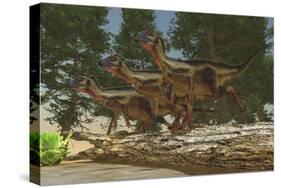 A Group of Herbivorous Hypsilophodon Dinosaurs-null-Stretched Canvas