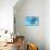 A Group of Humpback Whales Swimming Together-null-Stretched Canvas displayed on a wall
