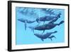 A Group of Humpback Whales Swimming Together-null-Framed Art Print