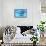 A Group of Humpback Whales Swimming Together-null-Framed Stretched Canvas displayed on a wall