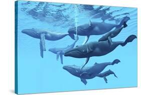 A Group of Humpback Whales Swimming Together-null-Stretched Canvas