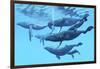 A Group of Humpback Whales Swimming Together-null-Framed Premium Giclee Print