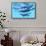 A Group of Humpback Whales Swimming Together-null-Framed Stretched Canvas displayed on a wall