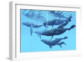 A Group of Humpback Whales Swimming Together-null-Framed Art Print