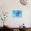 A Group of Humpback Whales Swimming Together-null-Stretched Canvas displayed on a wall