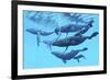 A Group of Humpback Whales Swimming Together-null-Framed Art Print