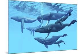 A Group of Humpback Whales Swimming Together-null-Mounted Art Print