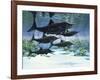 A Group of Ichthyosaurs Swimming in Prehistoric Waters-null-Framed Art Print