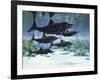 A Group of Ichthyosaurs Swimming in Prehistoric Waters-null-Framed Art Print