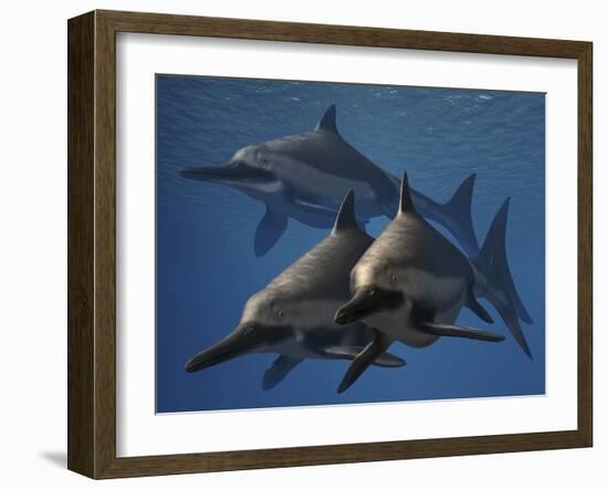 A Group of Ichthyosaurus Aquatic Reptiles from the Early Jurassic of England-Stocktrek Images-Framed Art Print