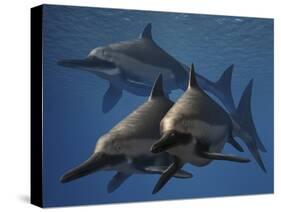 A Group of Ichthyosaurus Aquatic Reptiles from the Early Jurassic of England-Stocktrek Images-Stretched Canvas