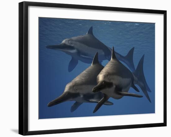 A Group of Ichthyosaurus Aquatic Reptiles from the Early Jurassic of England-Stocktrek Images-Framed Art Print