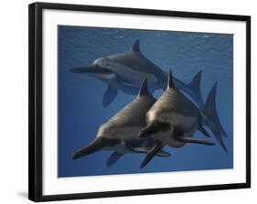 A Group of Ichthyosaurus Aquatic Reptiles from the Early Jurassic of England-Stocktrek Images-Framed Art Print