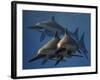 A Group of Ichthyosaurus Aquatic Reptiles from the Early Jurassic of England-Stocktrek Images-Framed Art Print