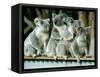 A Group of Koalas Gather Atop a Fence-null-Framed Stretched Canvas