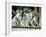 A Group of Koalas Gather Atop a Fence-null-Framed Photographic Print