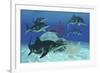 A Group of Large Ichthyosaurus Marine Reptiles Swimming in Prehistoric Waters-null-Framed Art Print