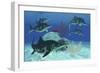 A Group of Large Ichthyosaurus Marine Reptiles Swimming in Prehistoric Waters-null-Framed Art Print