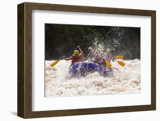 A GROUP OF MEN AND Women, WITH A Guide, WHITE WATER RAFTING ON THE PATATE River, ECUADOR-Ammit Jack-Framed Photographic Print