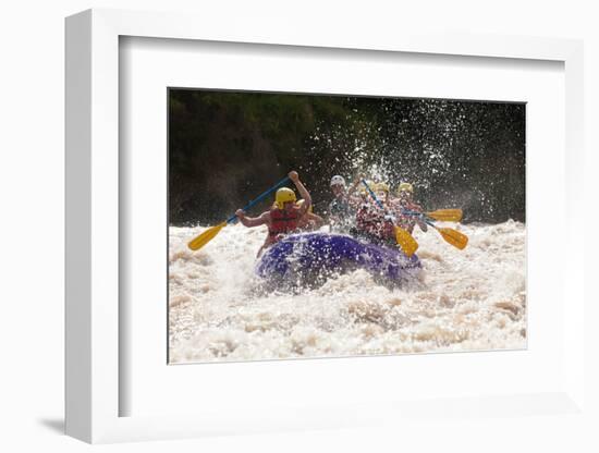 A GROUP OF MEN AND Women, WITH A Guide, WHITE WATER RAFTING ON THE PATATE River, ECUADOR-Ammit Jack-Framed Photographic Print