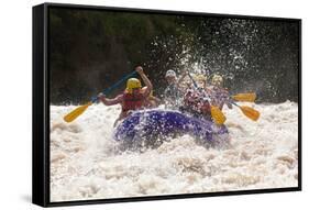 A GROUP OF MEN AND Women, WITH A Guide, WHITE WATER RAFTING ON THE PATATE River, ECUADOR-Ammit Jack-Framed Stretched Canvas