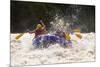 A GROUP OF MEN AND Women, WITH A Guide, WHITE WATER RAFTING ON THE PATATE River, ECUADOR-Ammit Jack-Mounted Photographic Print