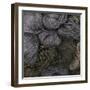 A Group of Navy Blue and Black Yarn - Dark Wool with Many Kind of Fiber Stick Together-Chutinun Arunwiwatkul-Framed Photographic Print