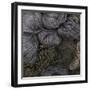 A Group of Navy Blue and Black Yarn - Dark Wool with Many Kind of Fiber Stick Together-Chutinun Arunwiwatkul-Framed Photographic Print