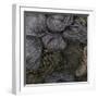 A Group of Navy Blue and Black Yarn - Dark Wool with Many Kind of Fiber Stick Together-Chutinun Arunwiwatkul-Framed Photographic Print