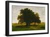 A group of oaktrees, Apremont, France. 1855 Canvas, 63,5 x 99,5 cm R. F. 1447.-Theodore Rousseau-Framed Giclee Print