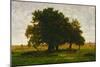 A group of oaktrees, Apremont, France. 1855 Canvas, 63,5 x 99,5 cm R. F. 1447.-Theodore Rousseau-Mounted Giclee Print
