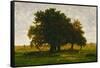 A group of oaktrees, Apremont, France. 1855 Canvas, 63,5 x 99,5 cm R. F. 1447.-Theodore Rousseau-Framed Stretched Canvas