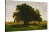 A group of oaktrees, Apremont, France. 1855 Canvas, 63,5 x 99,5 cm R. F. 1447.-Theodore Rousseau-Stretched Canvas