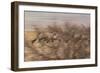 A Group of Oryx on the Run in Namib-Naukluft National Park-Alex Saberi-Framed Photographic Print