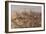 A Group of Oryx on the Run in Namib-Naukluft National Park-Alex Saberi-Framed Photographic Print