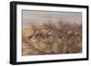 A Group of Oryx on the Run in Namib-Naukluft National Park-Alex Saberi-Framed Photographic Print