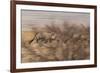 A Group of Oryx on the Run in Namib-Naukluft National Park-Alex Saberi-Framed Photographic Print