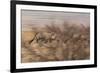 A Group of Oryx on the Run in Namib-Naukluft National Park-Alex Saberi-Framed Photographic Print