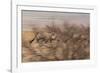 A Group of Oryx on the Run in Namib-Naukluft National Park-Alex Saberi-Framed Photographic Print