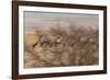 A Group of Oryx on the Run in Namib-Naukluft National Park-Alex Saberi-Framed Photographic Print