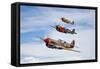 A Group of P-40 Warhawks Fly in Formation Near Nampa, Idaho-null-Framed Stretched Canvas