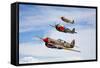 A Group of P-40 Warhawks Fly in Formation Near Nampa, Idaho-null-Framed Stretched Canvas