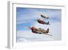 A Group of P-40 Warhawks Fly in Formation Near Nampa, Idaho-null-Framed Photographic Print