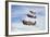 A Group of P-40 Warhawks Fly in Formation Near Nampa, Idaho-null-Framed Photographic Print